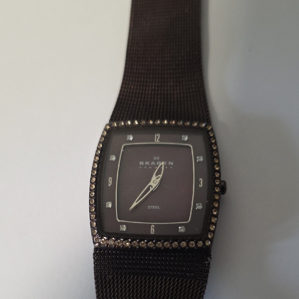 Skagen Dark Brown Mesh Watch